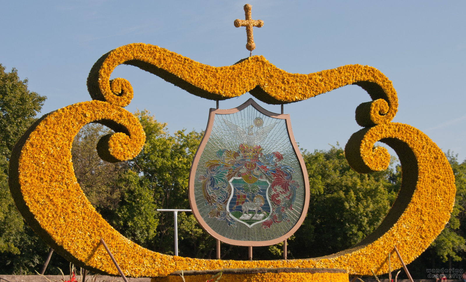 Flower car of Debrecen City -- dry flower