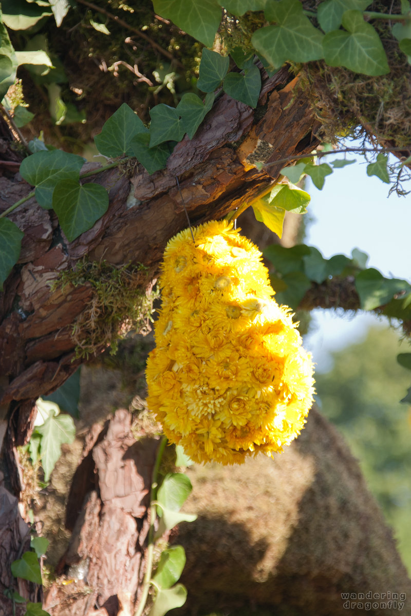 Scene from Susu the dragon -- dry flower