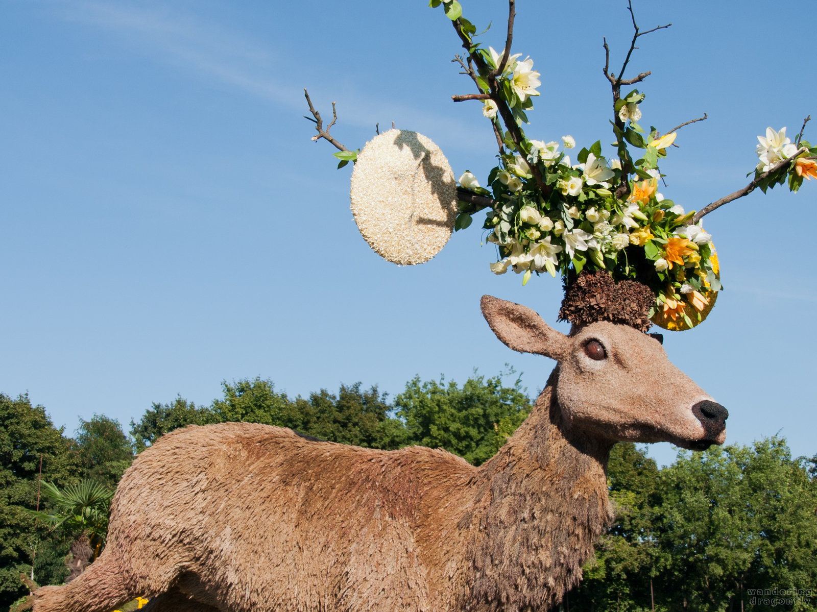 Scene from fairy tale -- dry flower