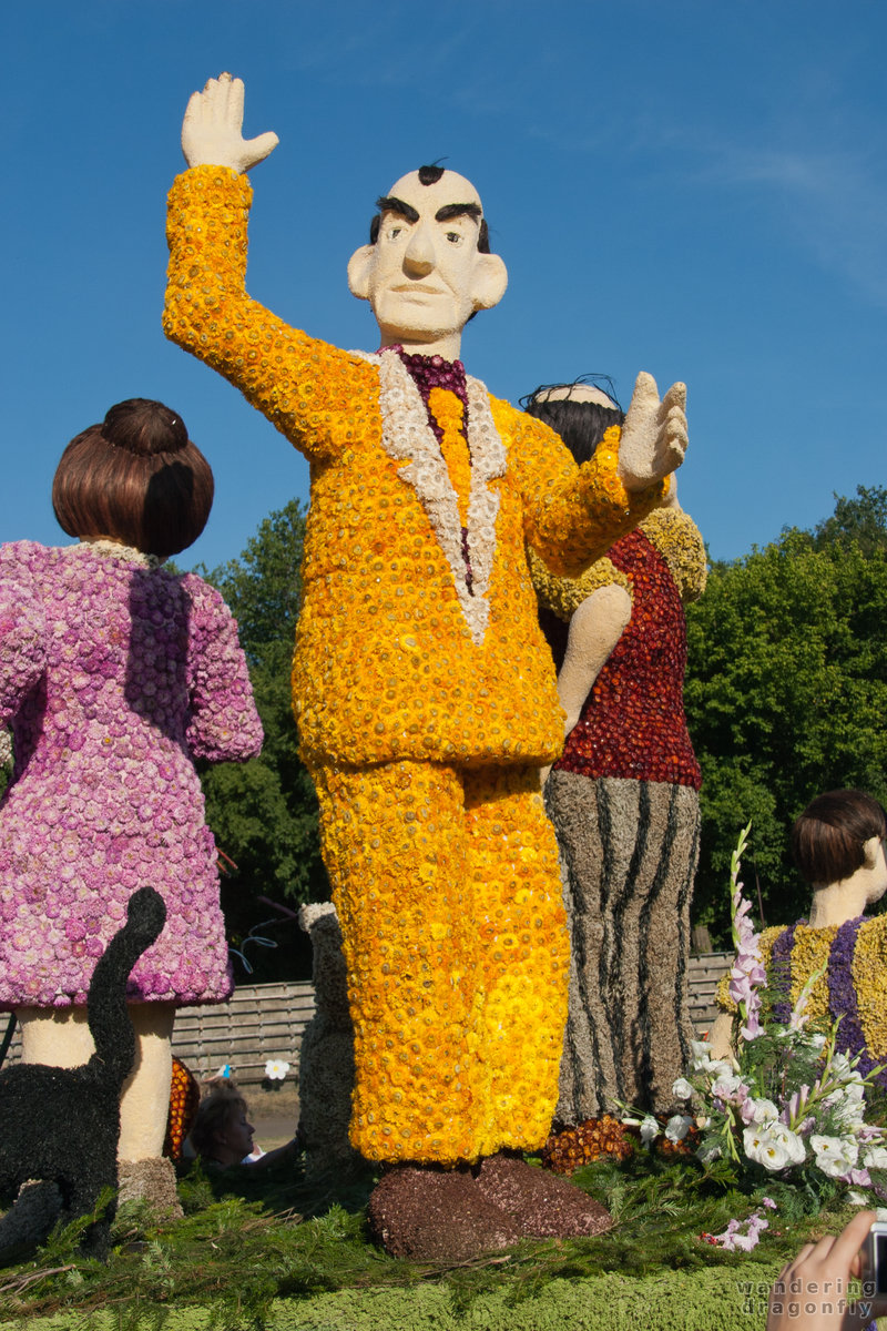 Scene from The Mézga Family -- dry flower