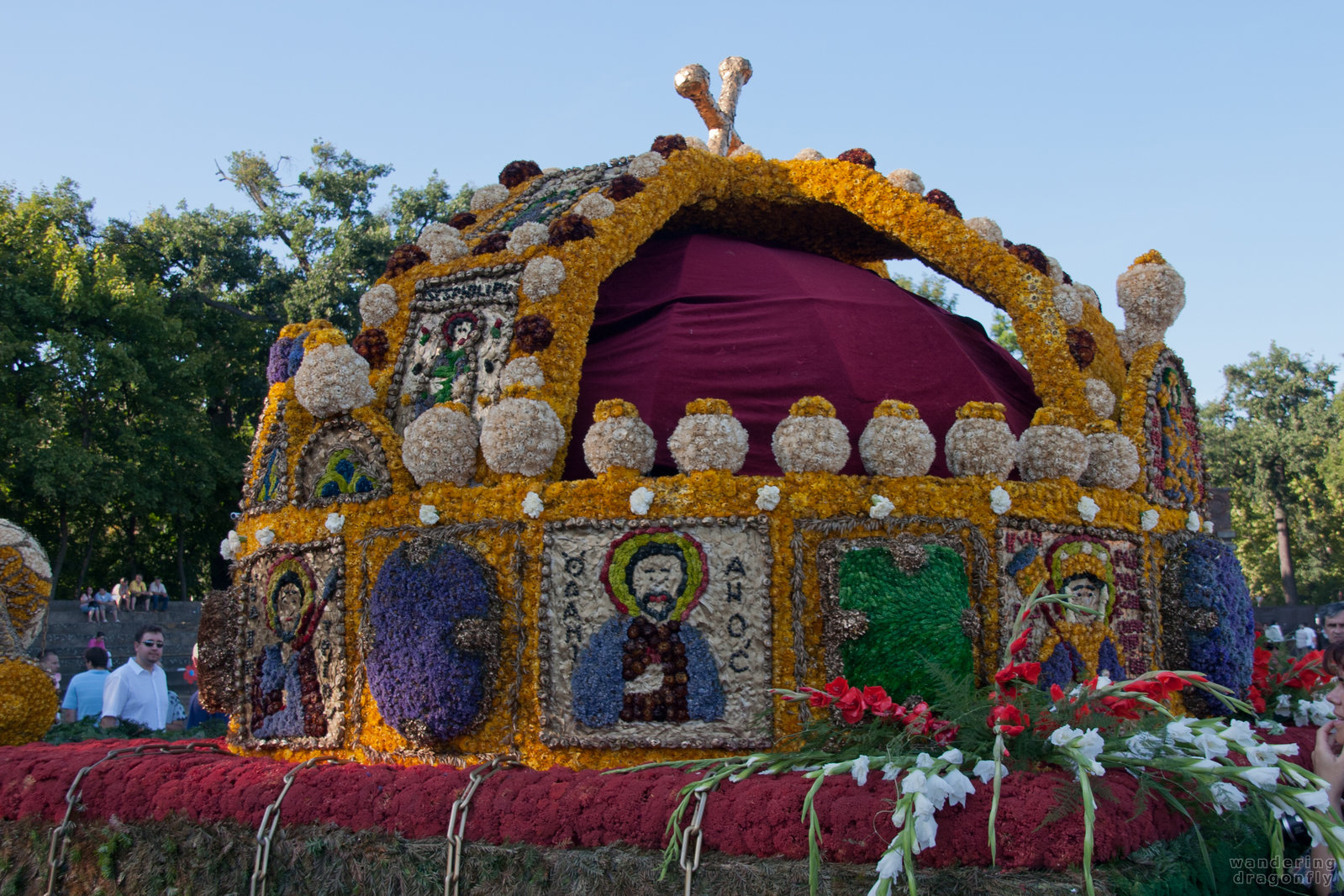 Hungarian Crown -- dry flower