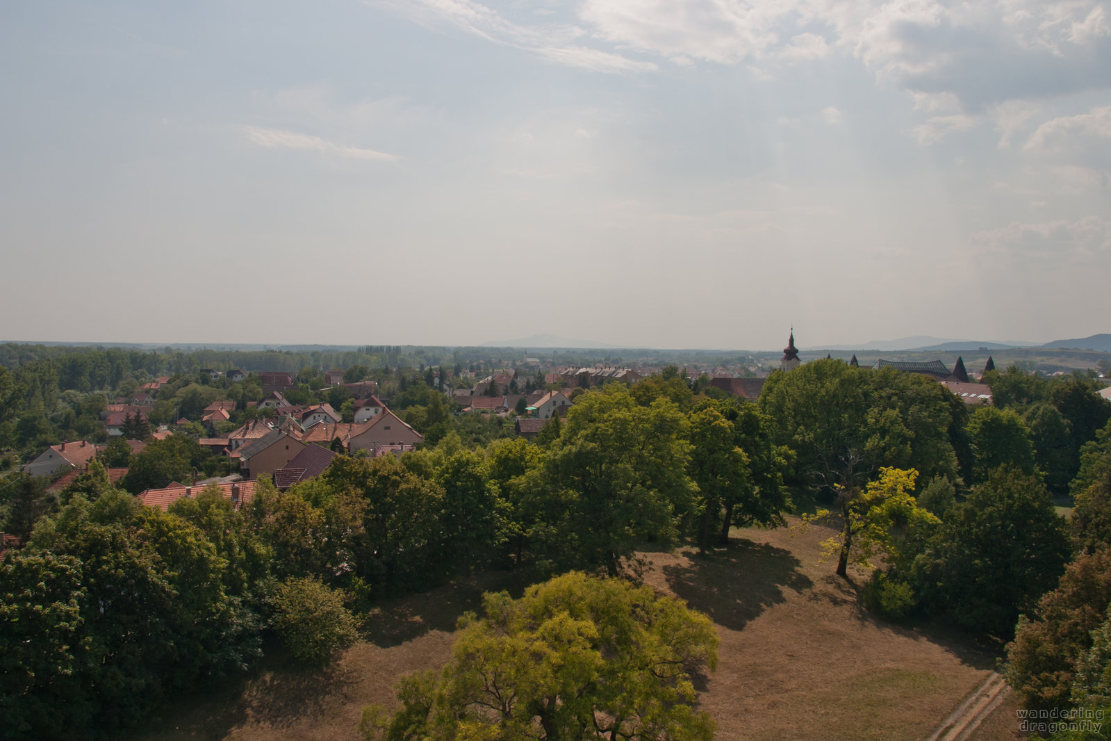 Sunny view of Sárospatak -- tree, vista