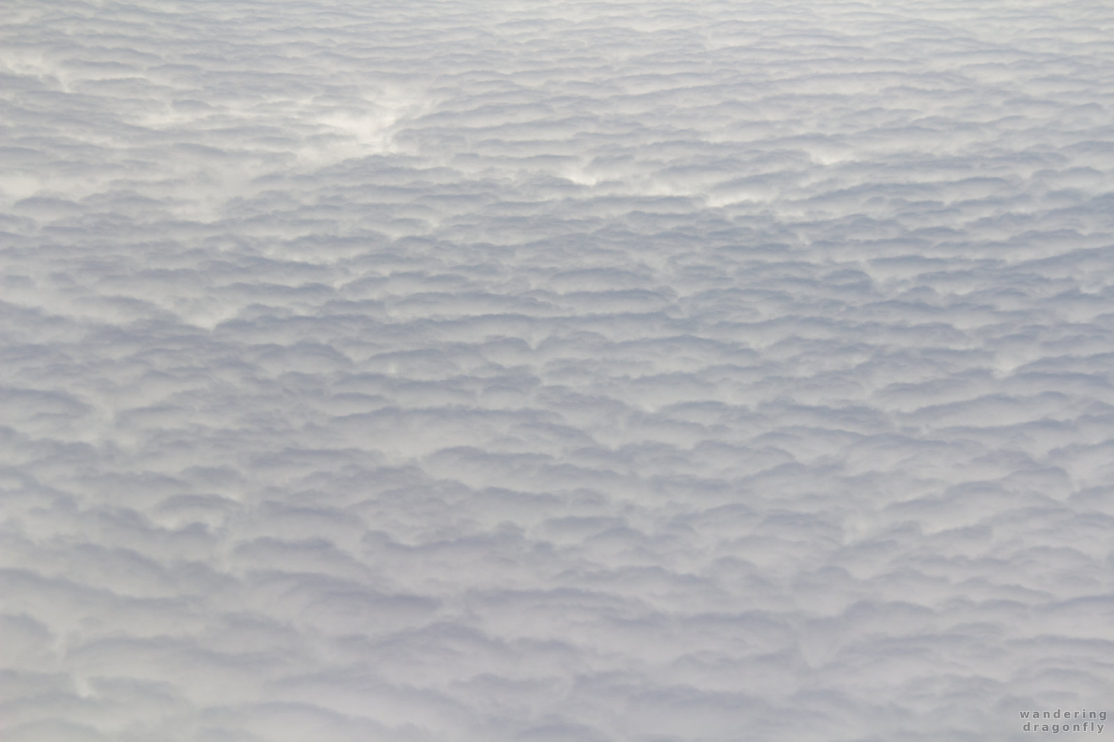 Clouds from the airplane -- cloud, from airplane, white cloud