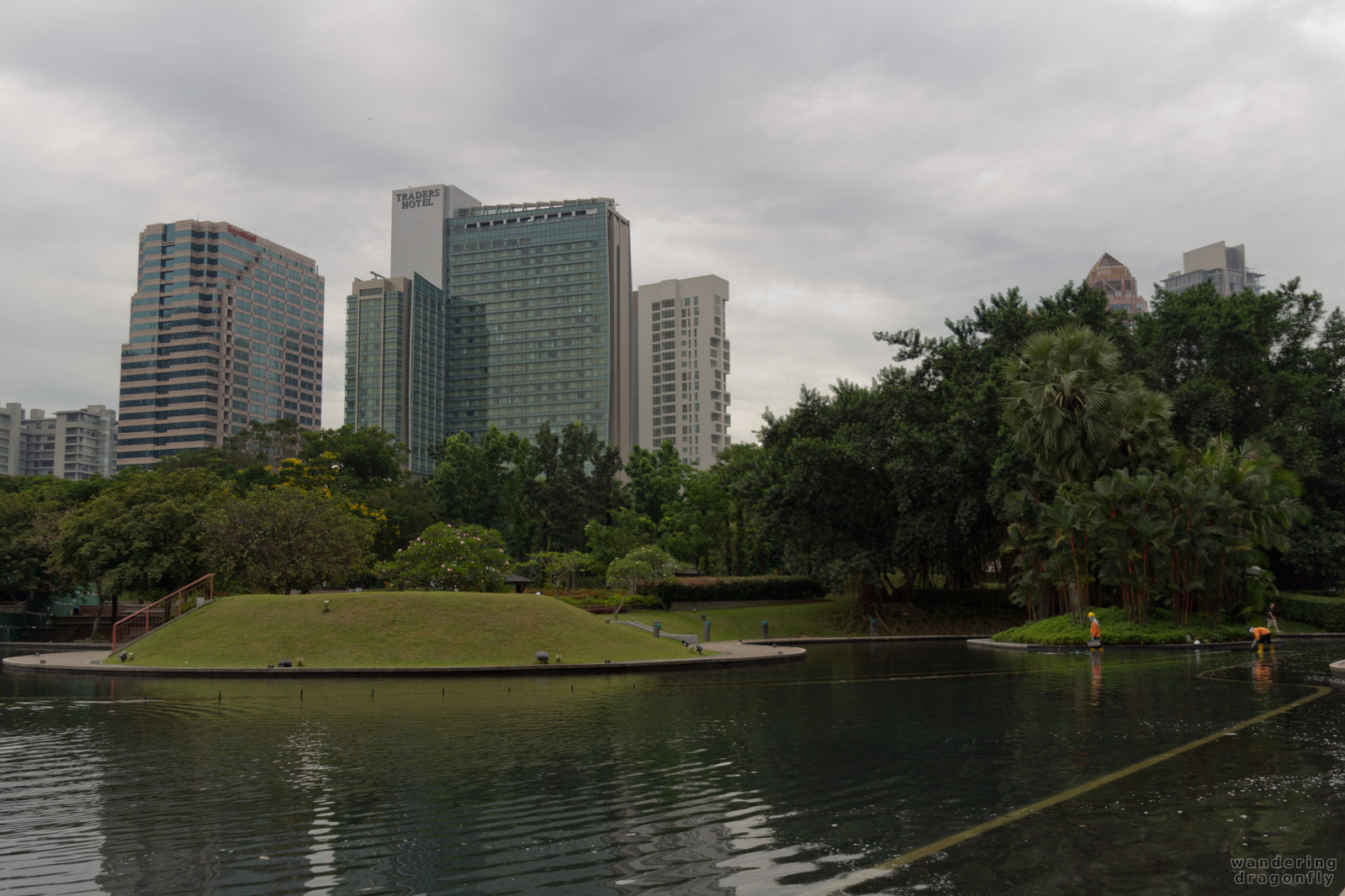 Offices and hotels behind the park -- hotel, office building, pond, tree, worker