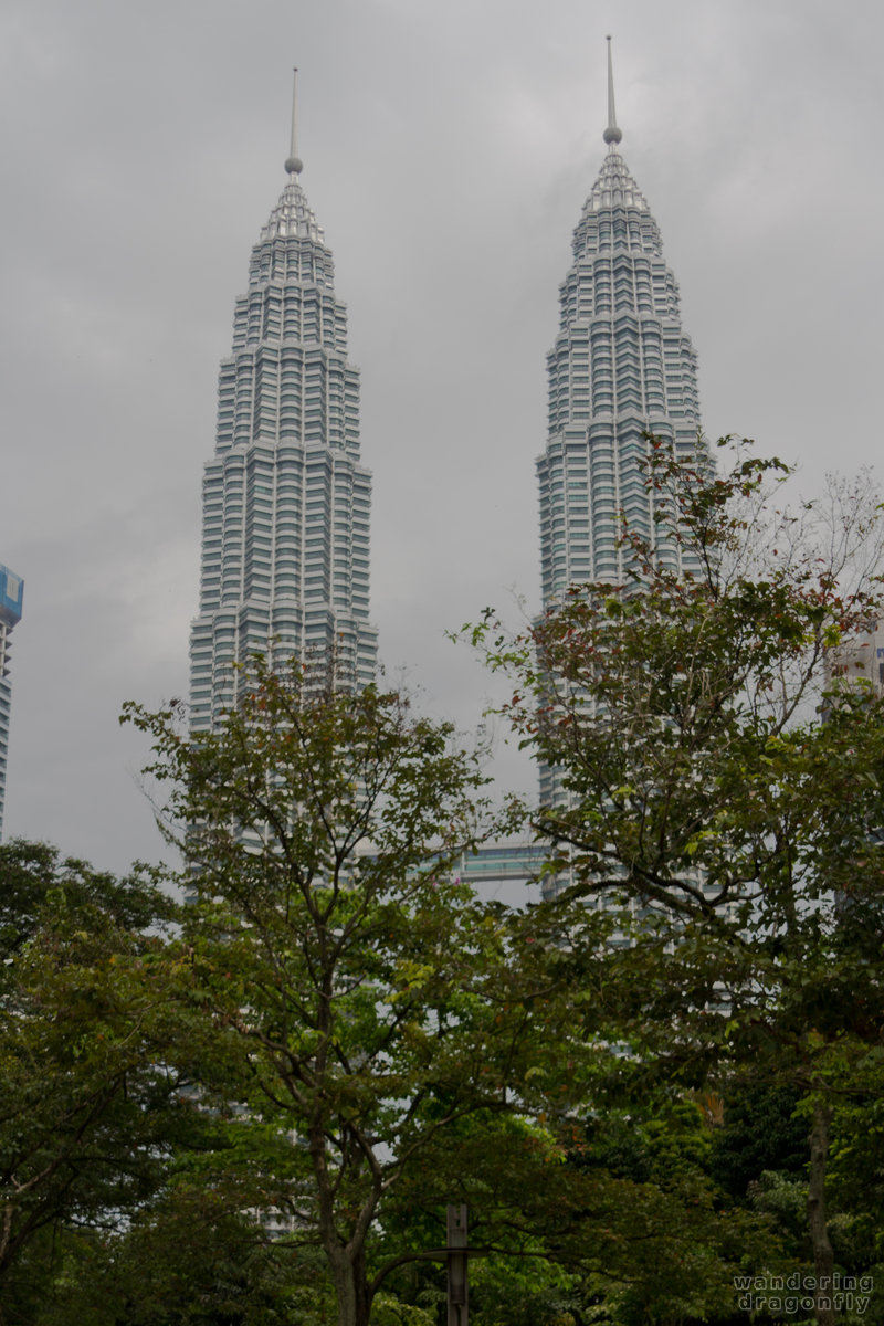 Petronas Towers -- office building, tower, tree