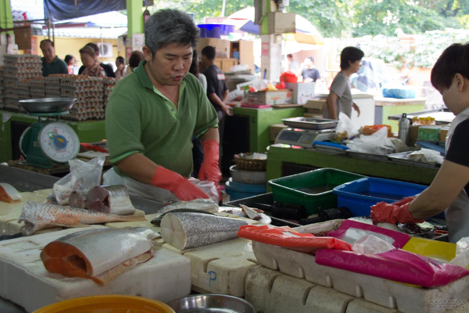 Preparing the fish -- fish (food), food, marketplace