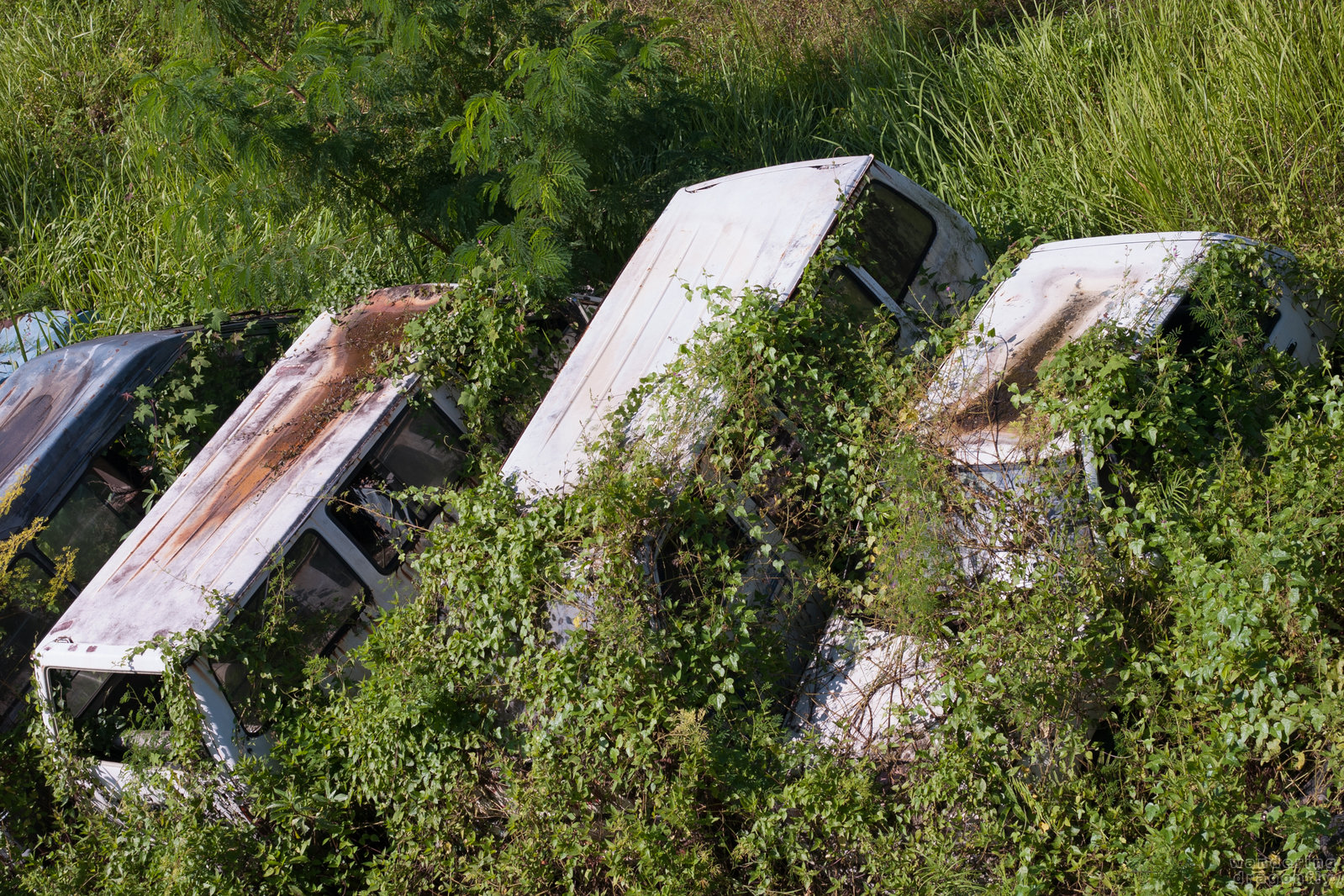 Abandoned cars at police station -- car, police