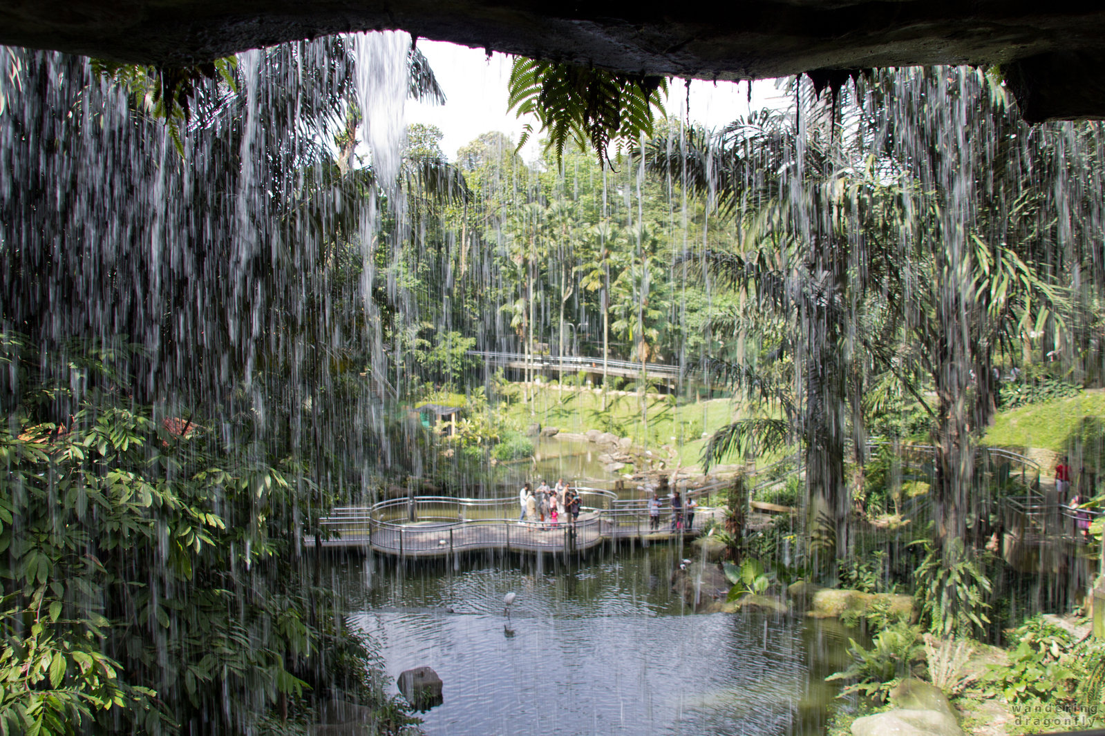 Behind the small waterfall -- park, waterfall