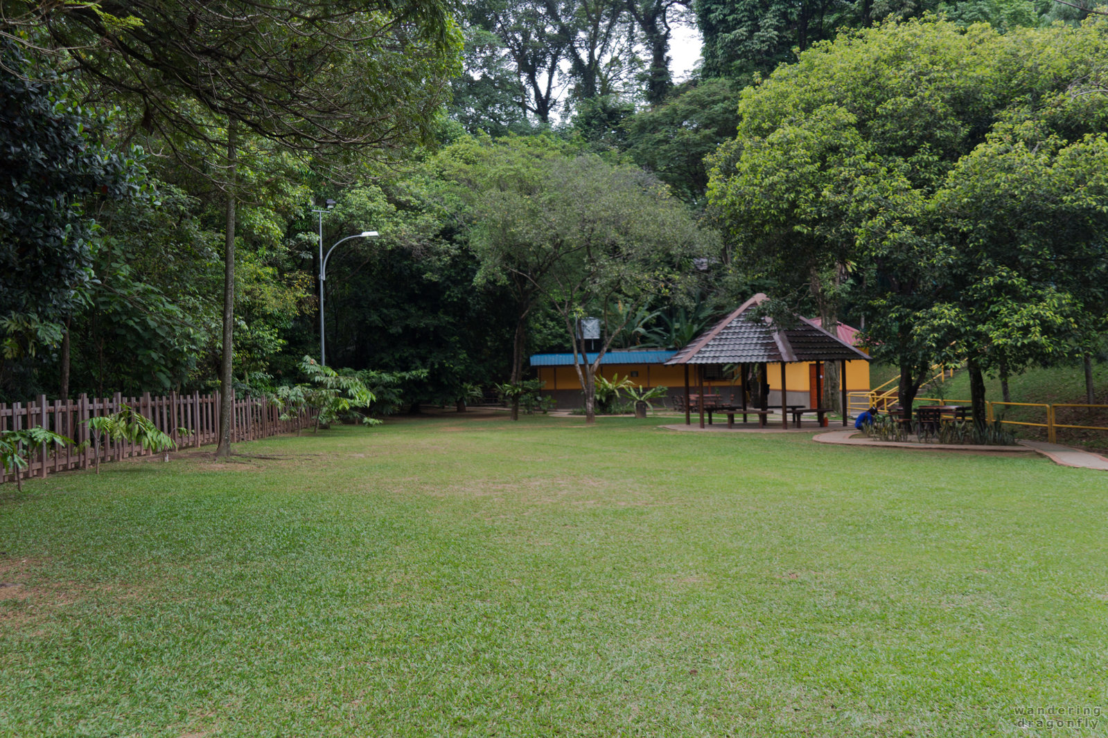 The park is being maintained well -- gardener, park