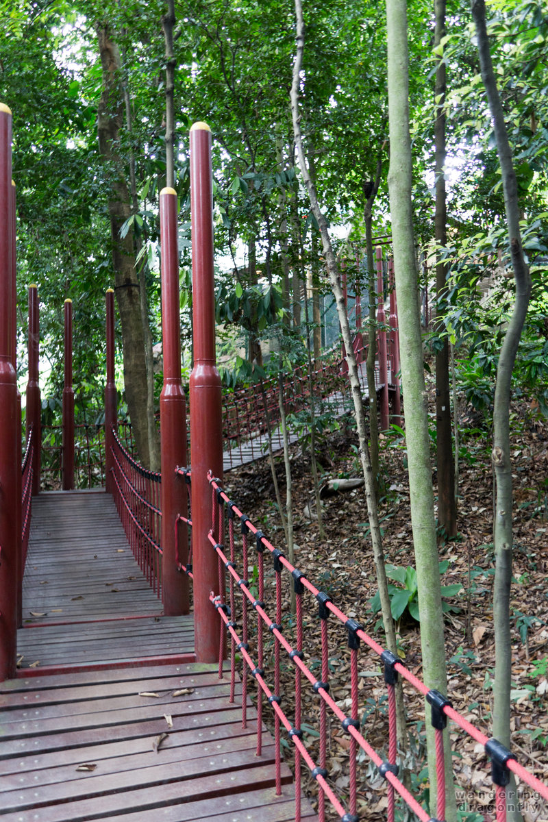 The bridge is splippery at steep parts -- park, suspension bridge