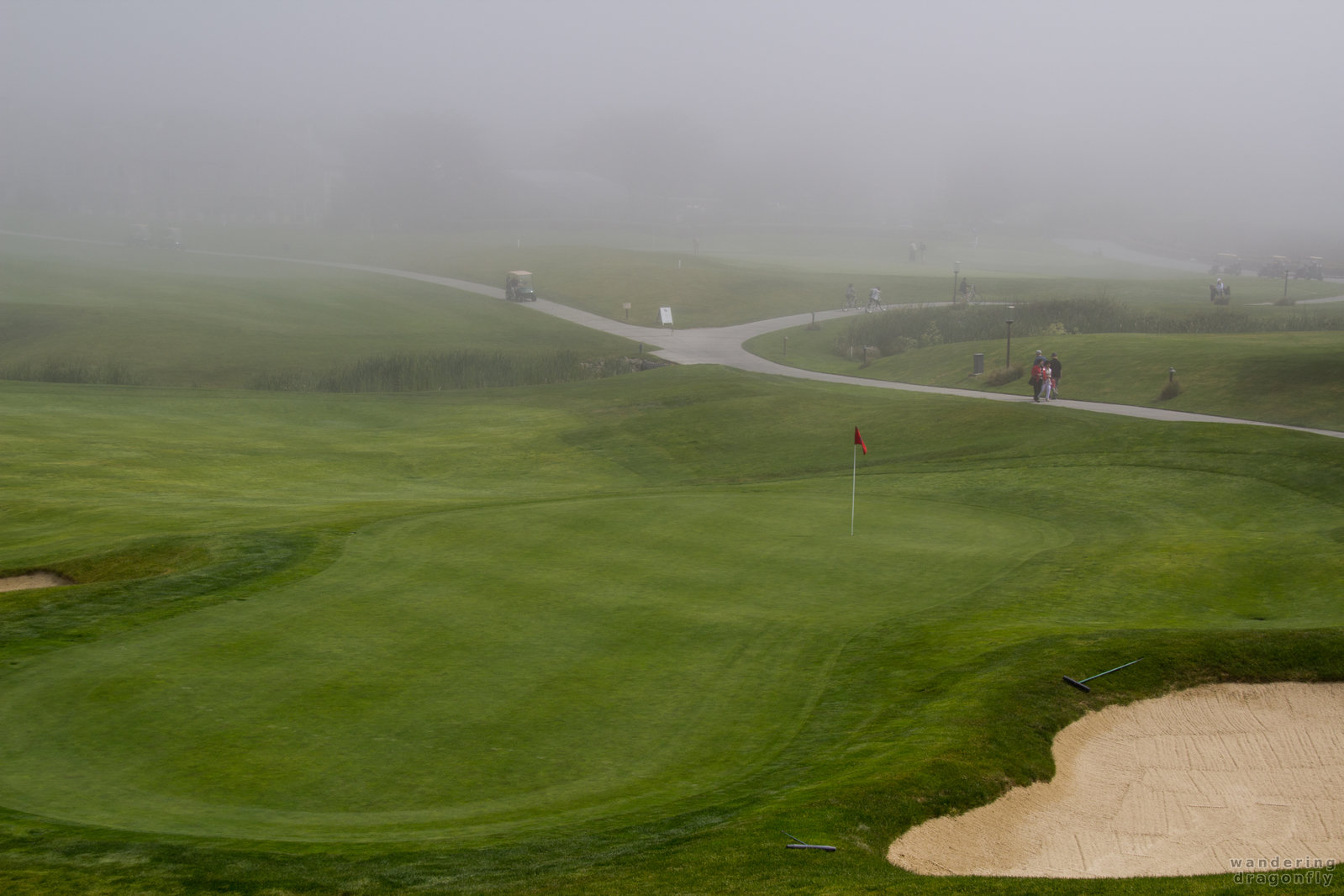 Fog is not a problem for dedicated golfers -- fog, golf course, putting green, sand trap