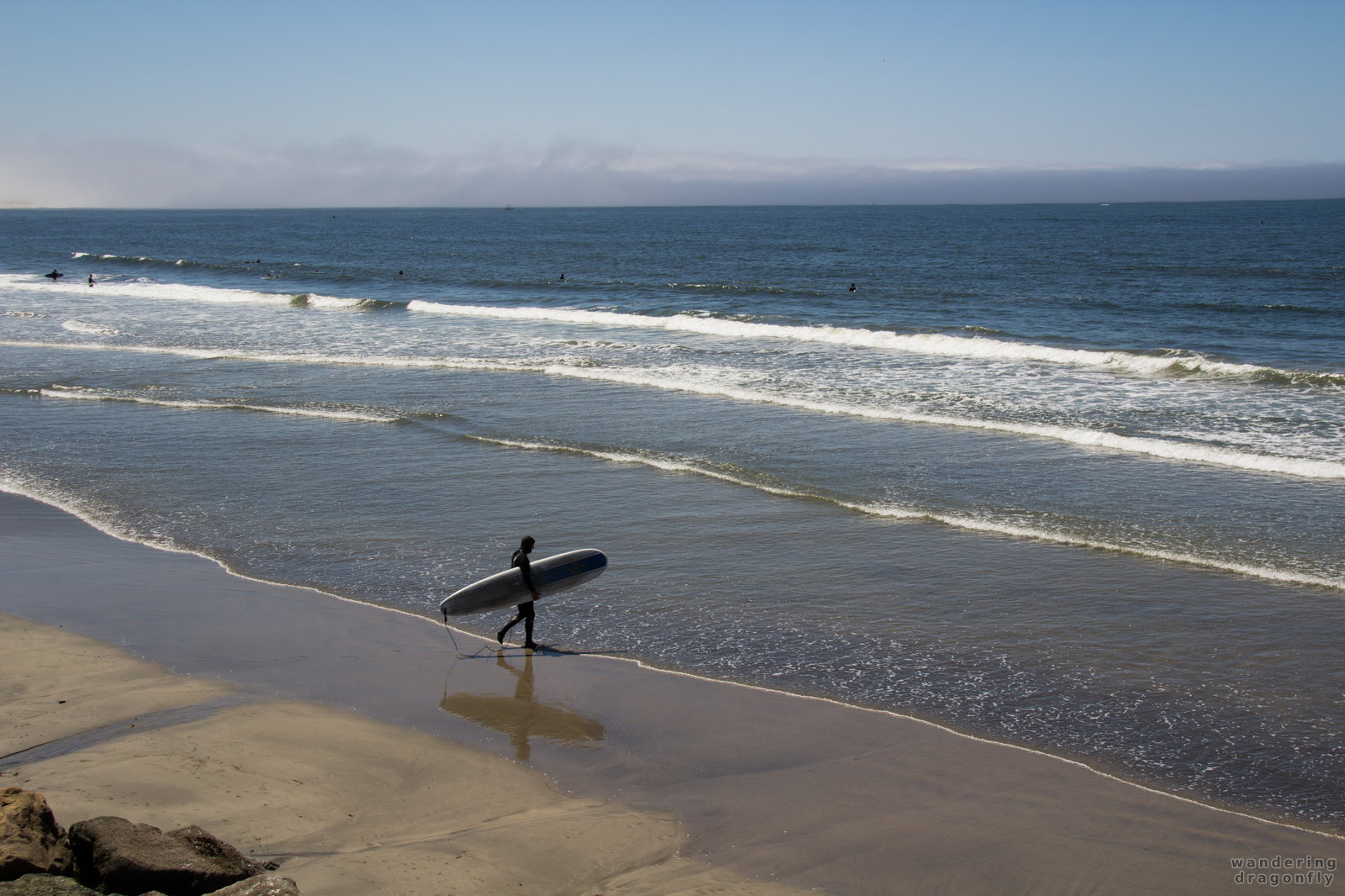 Surfer walks into the water -- beach, ocean, surfer