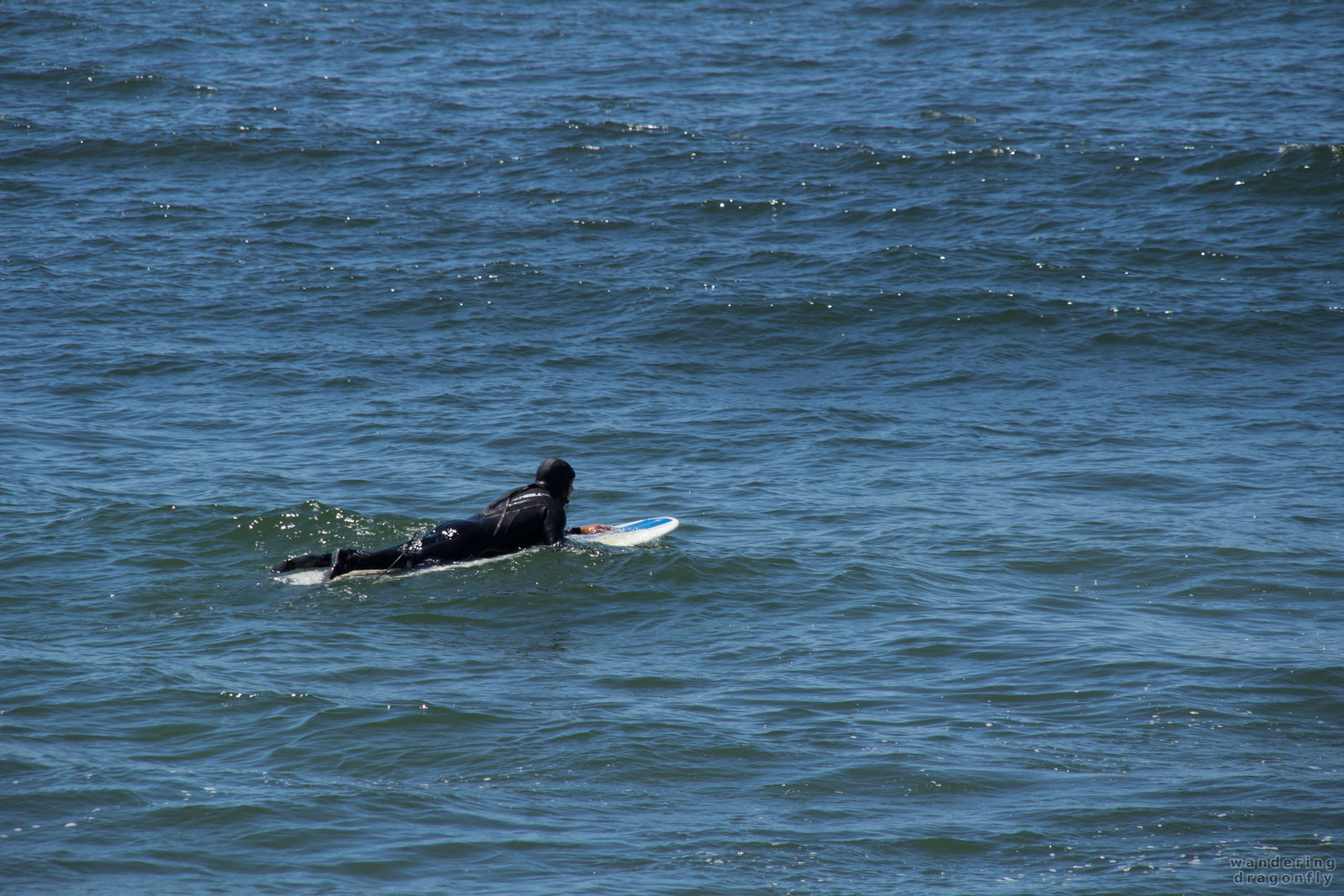 Surfing is usually lonesome -- ocean, surfer, water