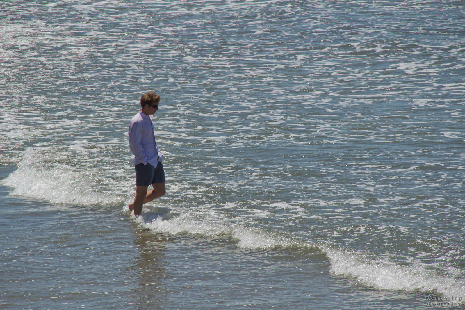 It'd be a waste to skip a walk in the ocean -- man, walking, water