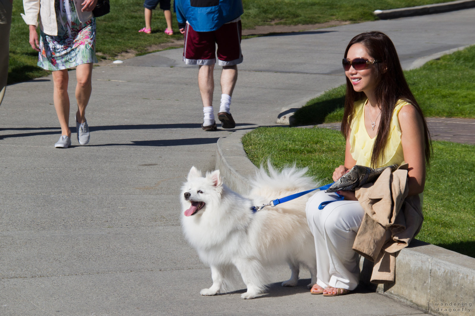 Lovely smiles -- dog, tourist