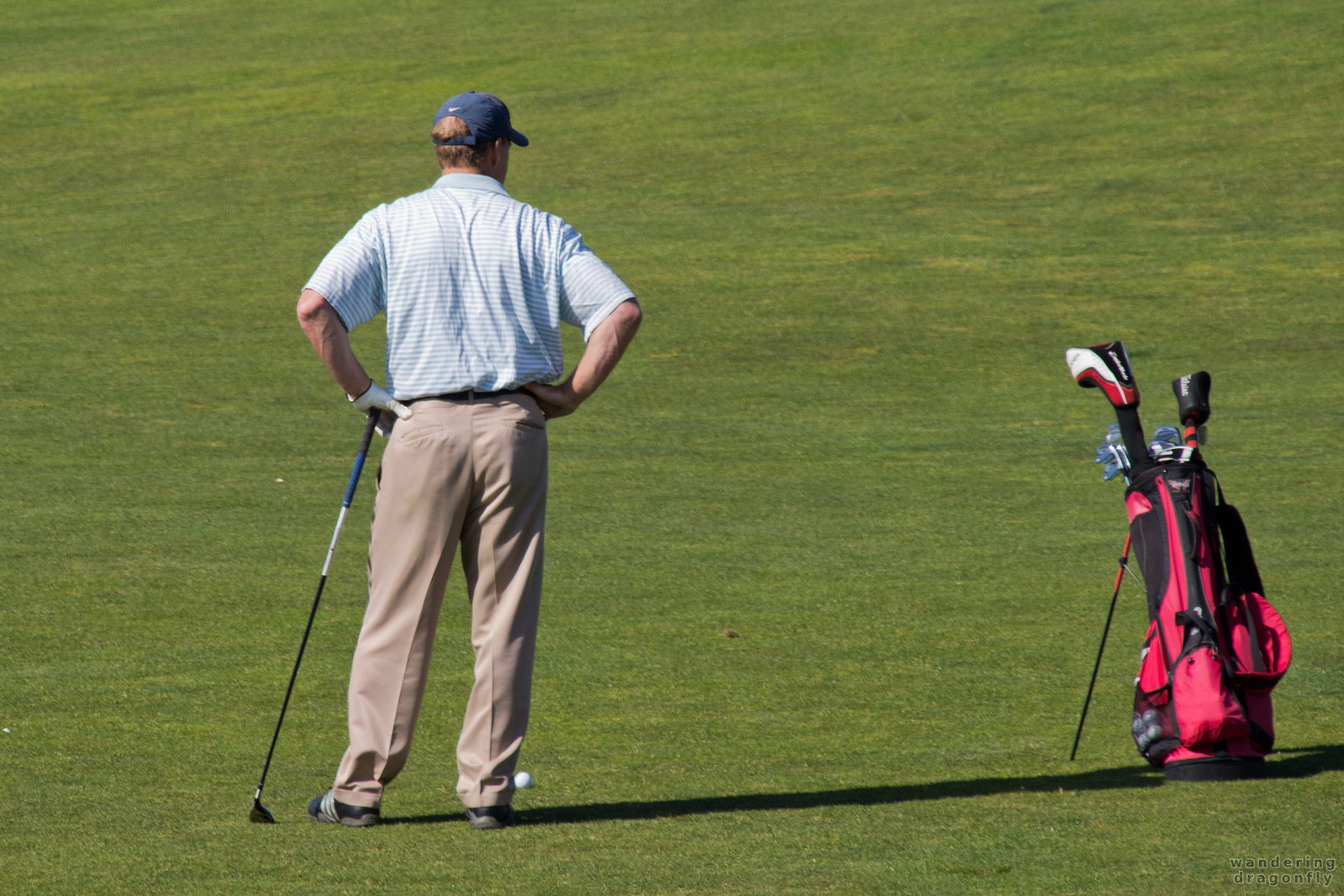 Preparing for the strike -- golf ball, golf club, golf course, golf set, golfer, grass