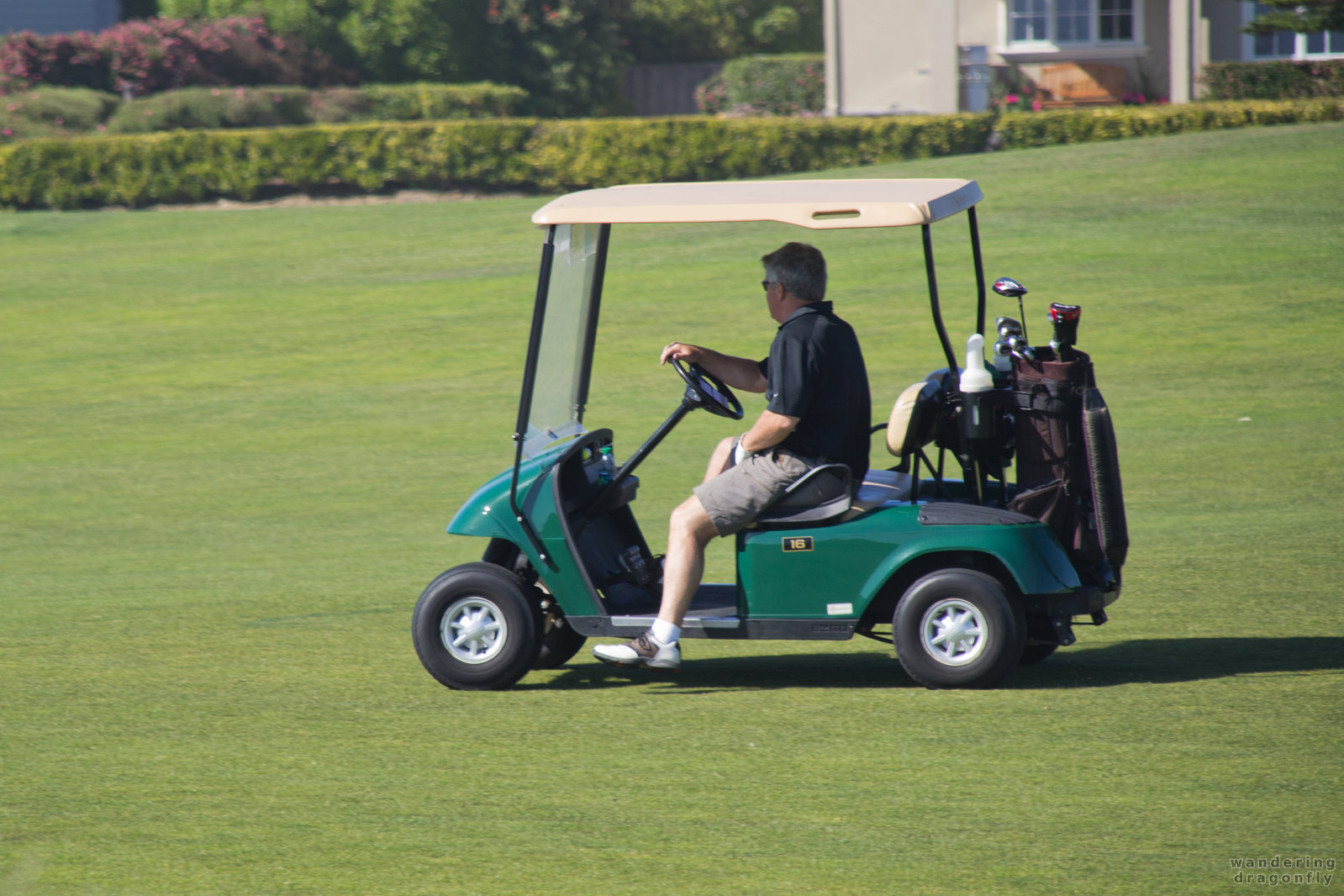 Some prefer golf cars over walking -- golf car, golf course, golf set, golfer, grass