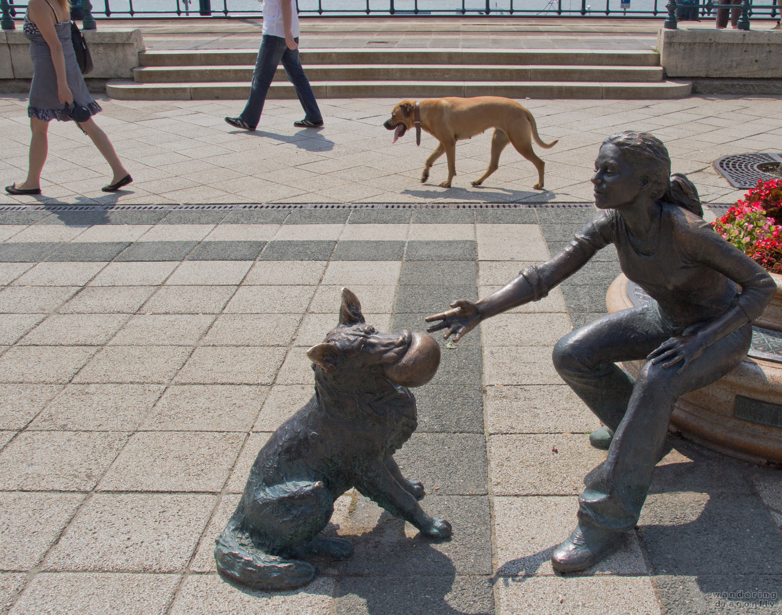 Too hot to play? -- dog, statue