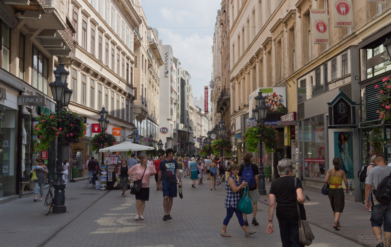 Tourist-oriented street -- building, people, street