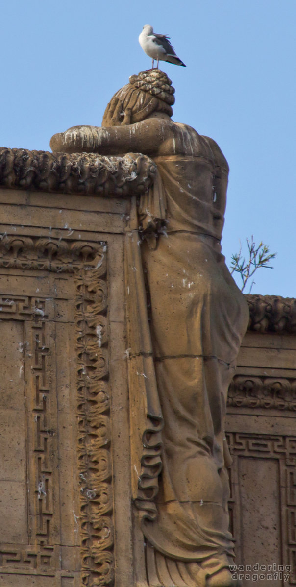 Crying - because of the gulls? -- building, gull, sculpture