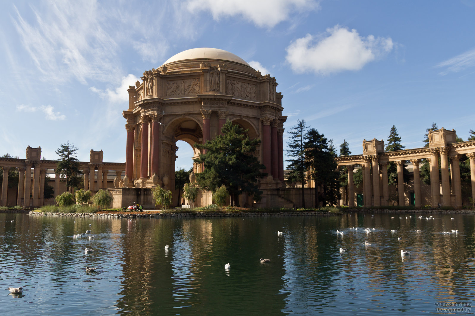 Palace of Fine Arts -- bird, building, cloud, pillar, pond, tree