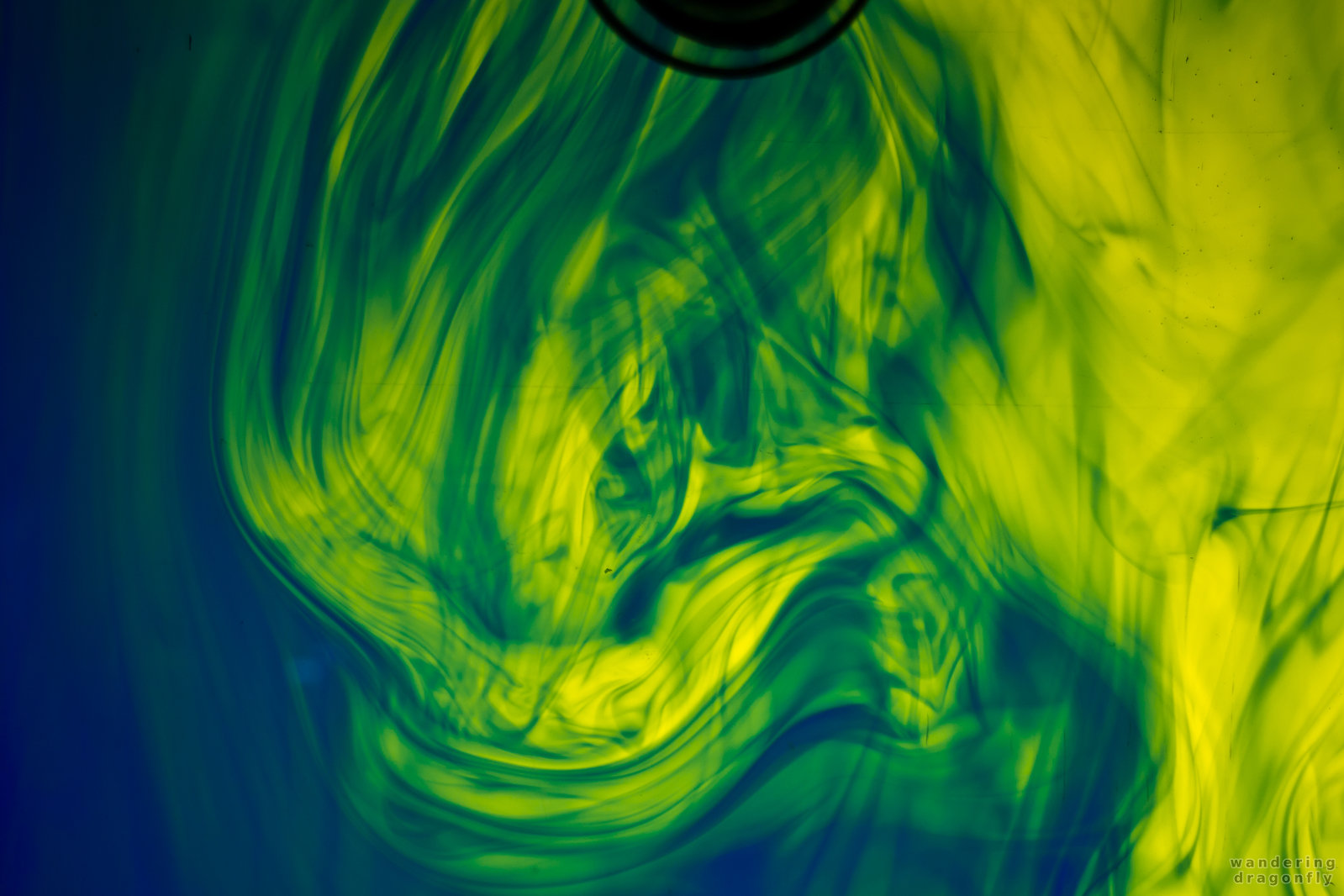 Playing with charged, tinted fluid -- blue, green, science, yellow