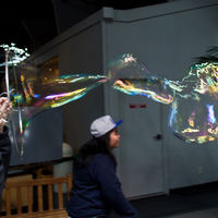 Hands-on exhibits explore biology, physics, listening, cognition, and visual perception in the Exploratorium. You can really touch and try everything.