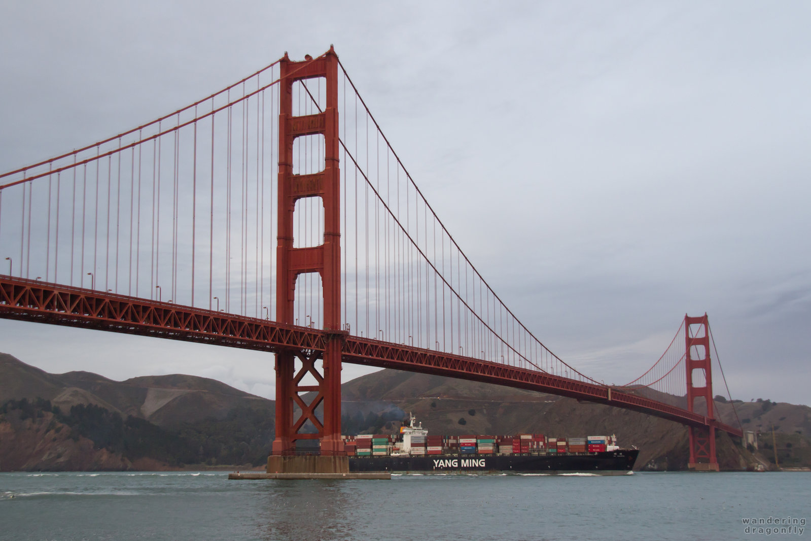 Container ship under the Golden Gate Bridge -- bridge, container ship, water