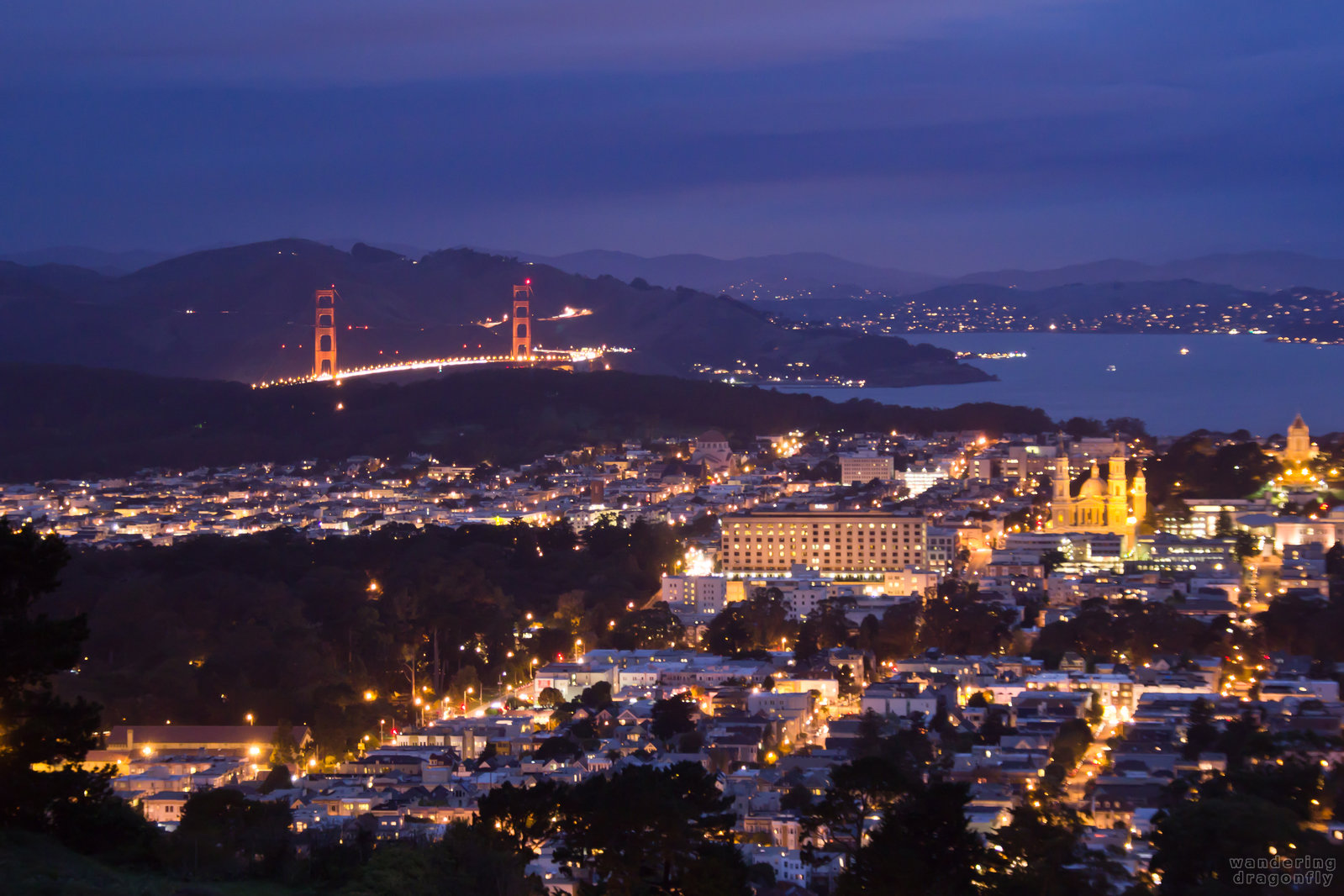 Golden Gate Bridge at night -- bridge, city, night, vista