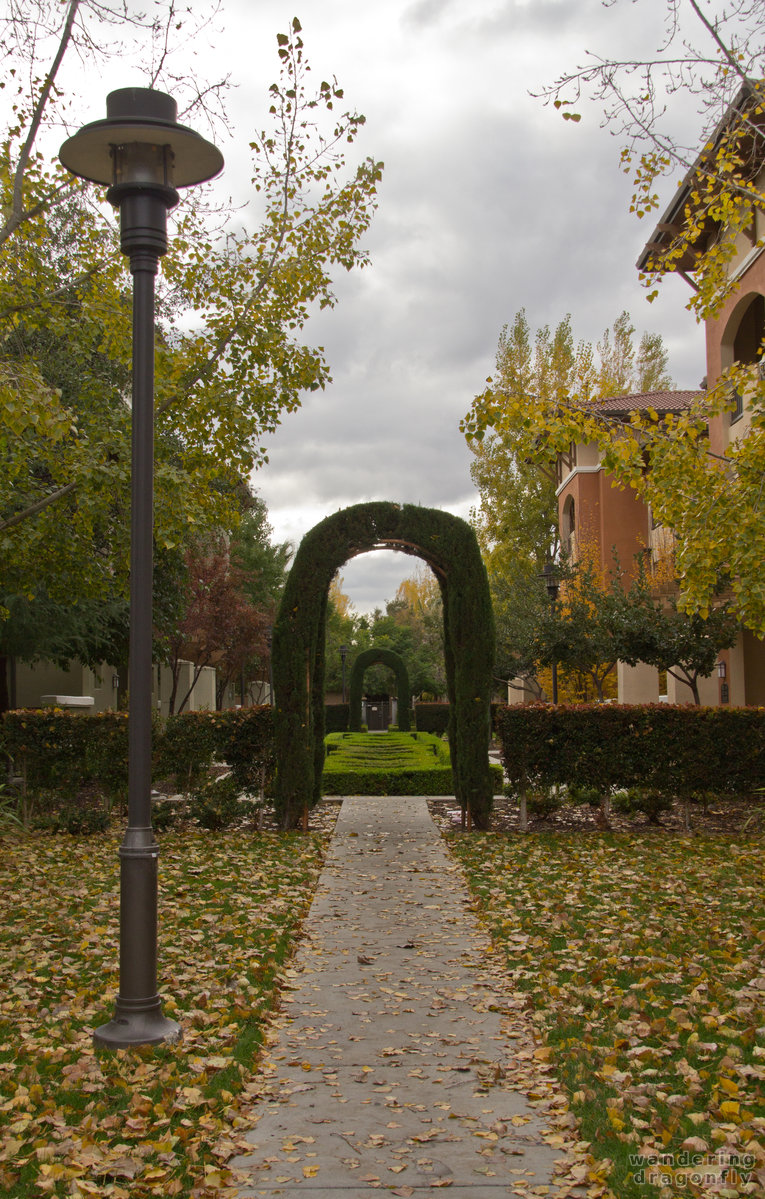 Bushy garden between the buildings -- arch, autumn, bush, lamp-post, park