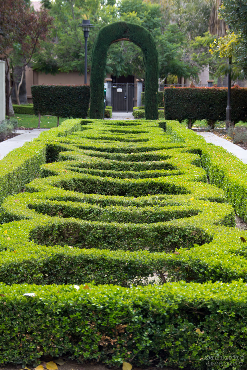 Pretty bushes -- arch, bush