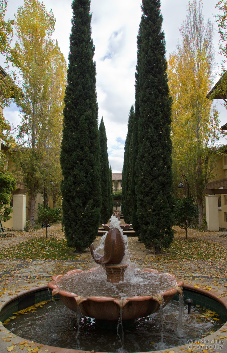 The main courtyard -- autumn, fish, fountain, tree