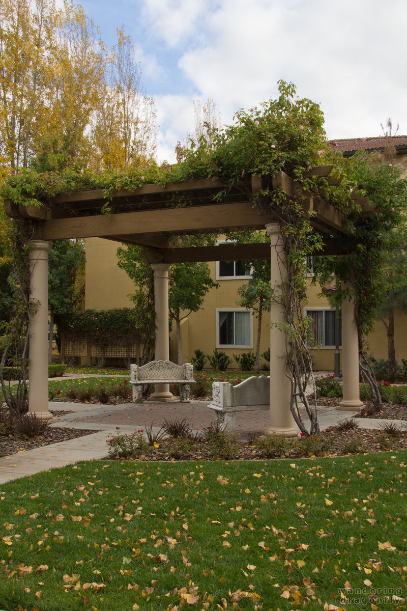 Gazebo in autumn colours -- autumn, bench, gazebo, pillar