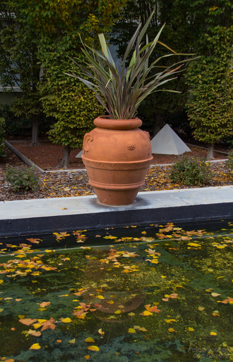 Flowerpot at the pond -- autumn, flowerpot, pond