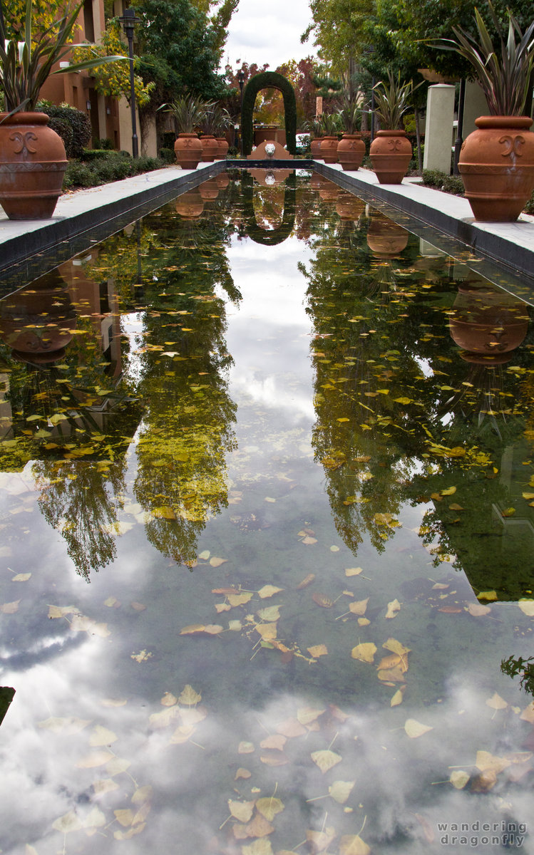 Reflections -- autumn, pond, reflection