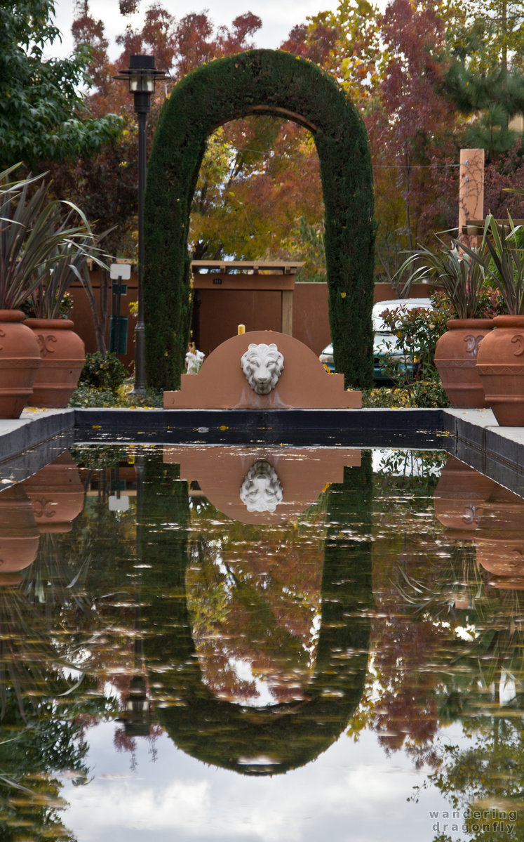 Bush-arch with colorful trees -- autumn, lion head, pond, reflection