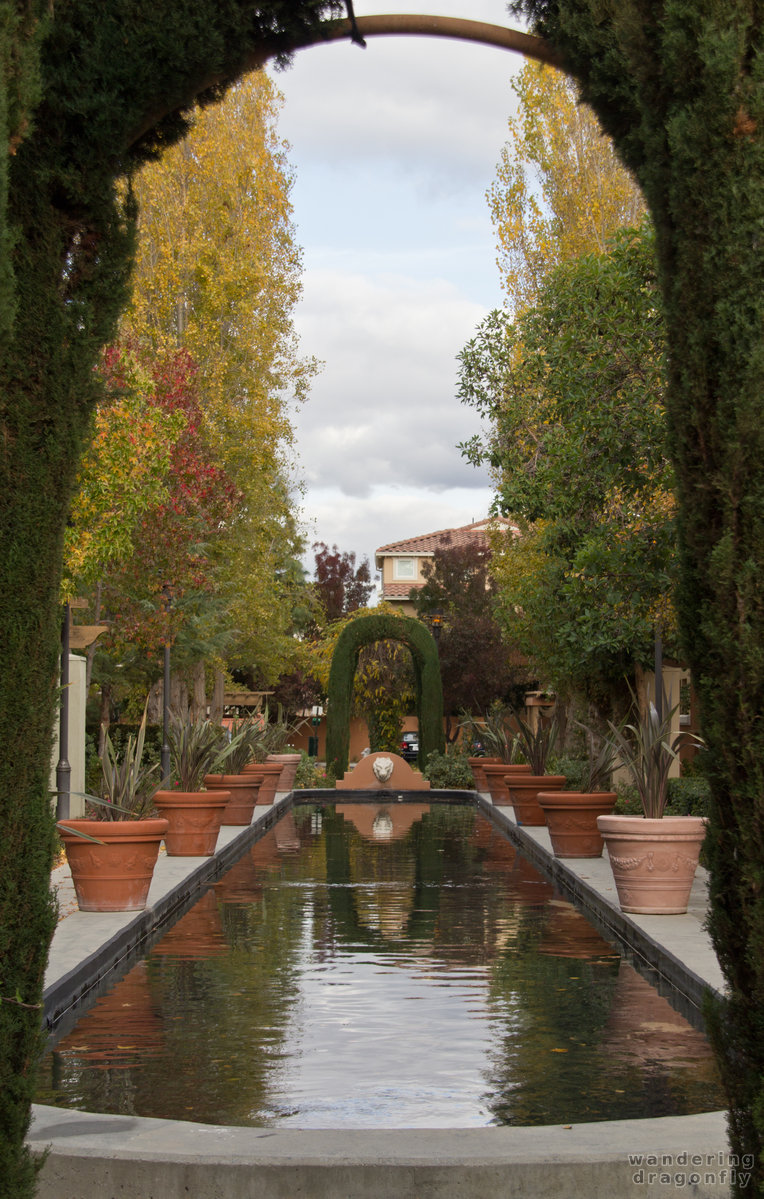 Garden with pond -- autumn, pond, reflection