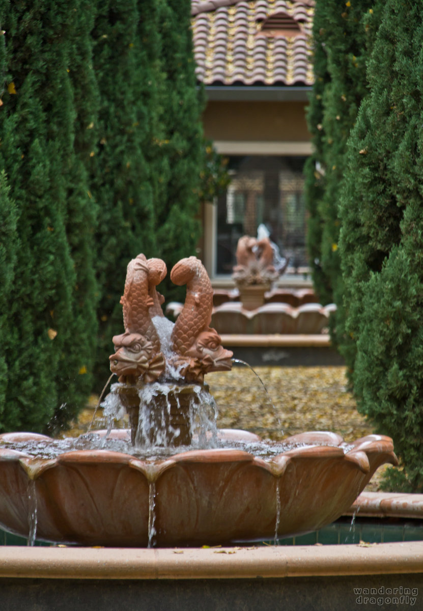 Fountains of the main courtyard -- autumn, dragon, fountain
