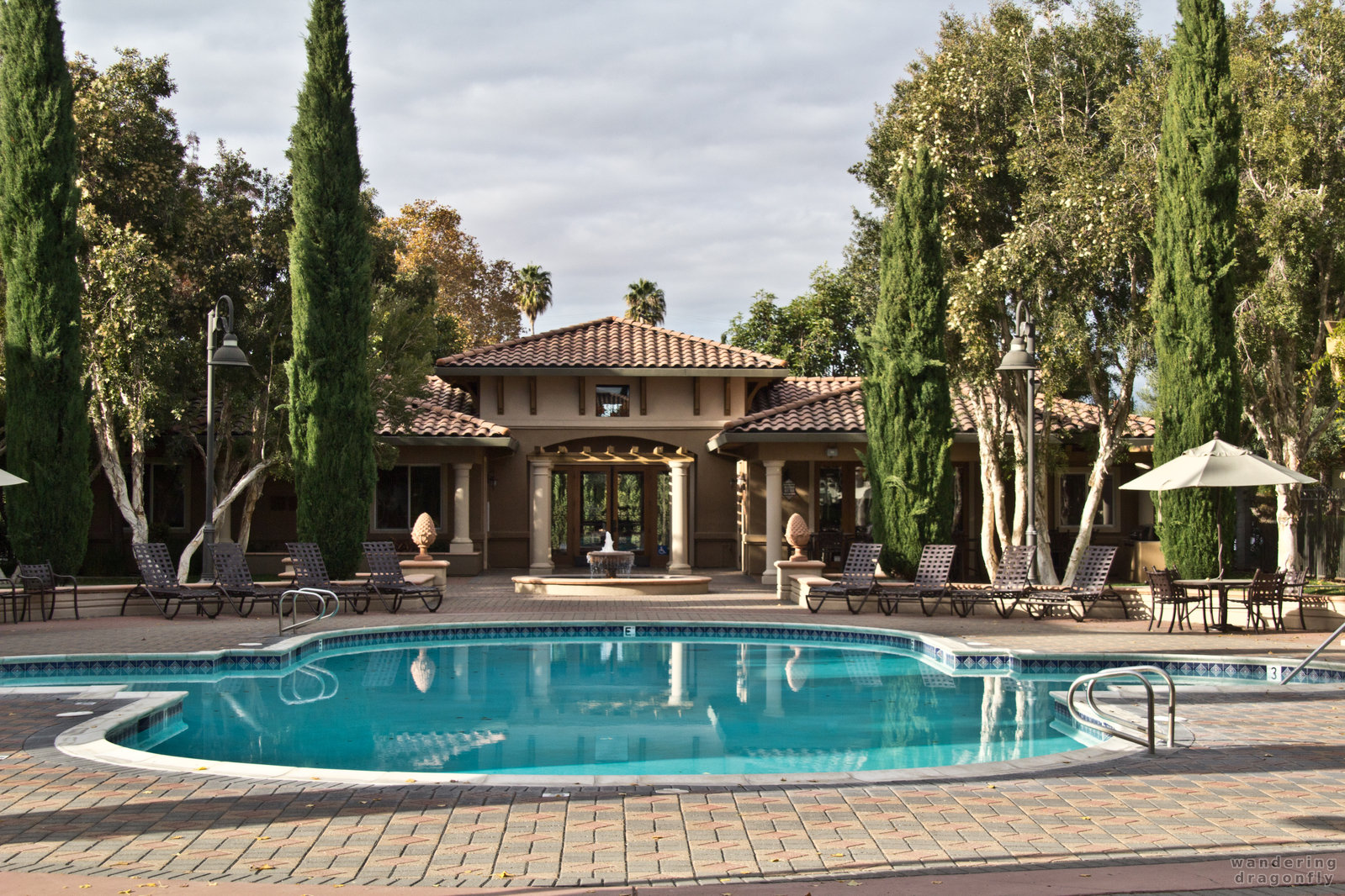 The pool -- building, pool, reflection, tree