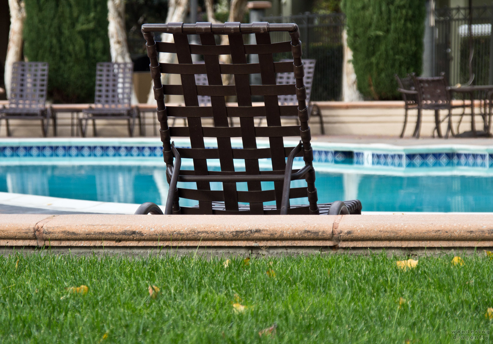 Looking at the pool -- chair, grass, pool