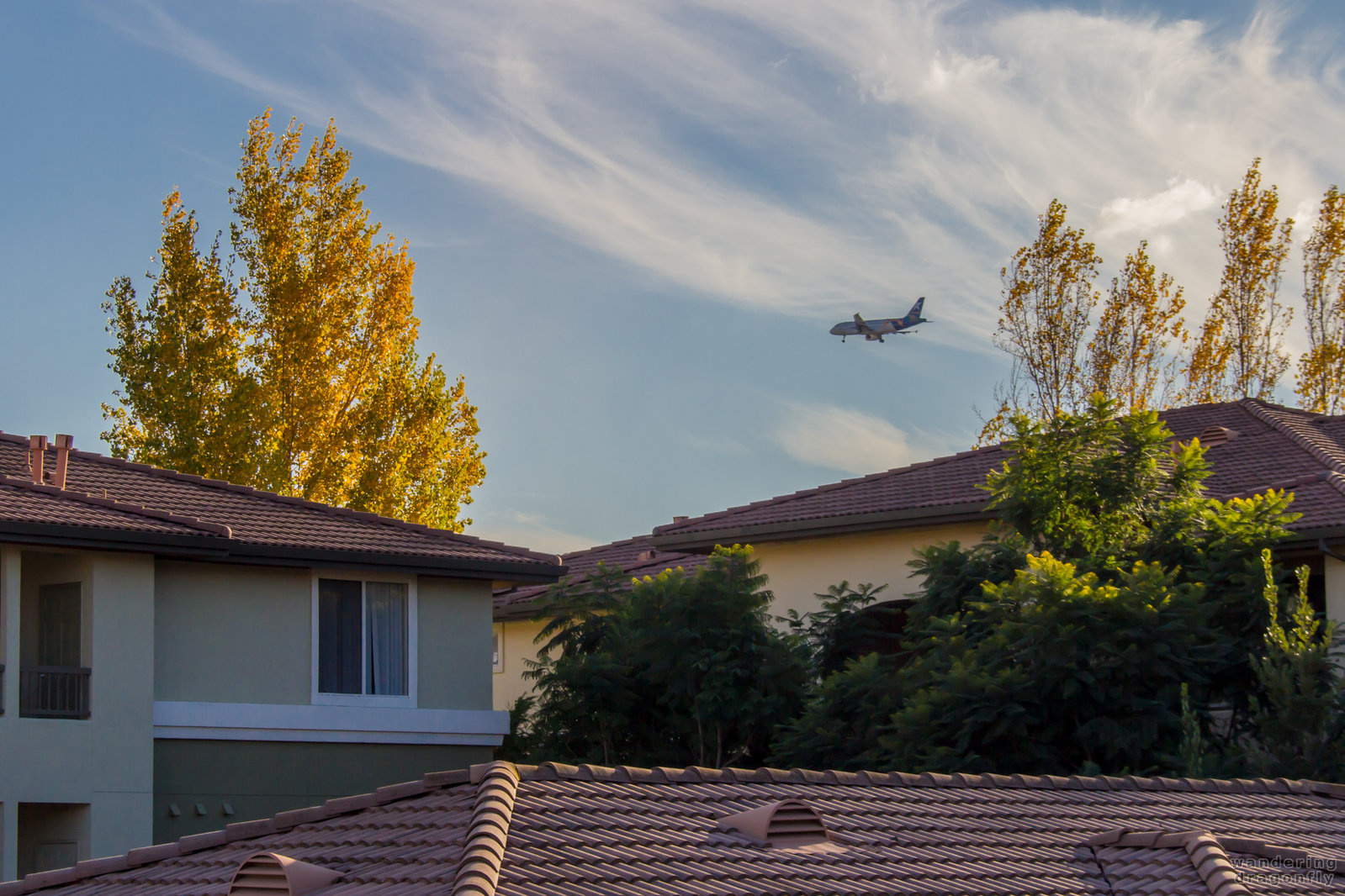 Those huge airplanes were zooming away literally above our heads -- airplane, autumn, cloud, house, sky, tree