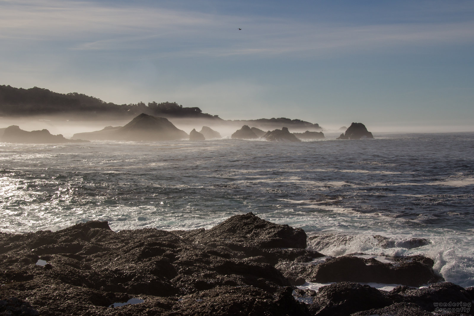 Misty coves -- cliff, fog, ocean, rock, sky, water