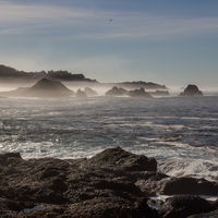 Looking south from Weston Beach in the morning.