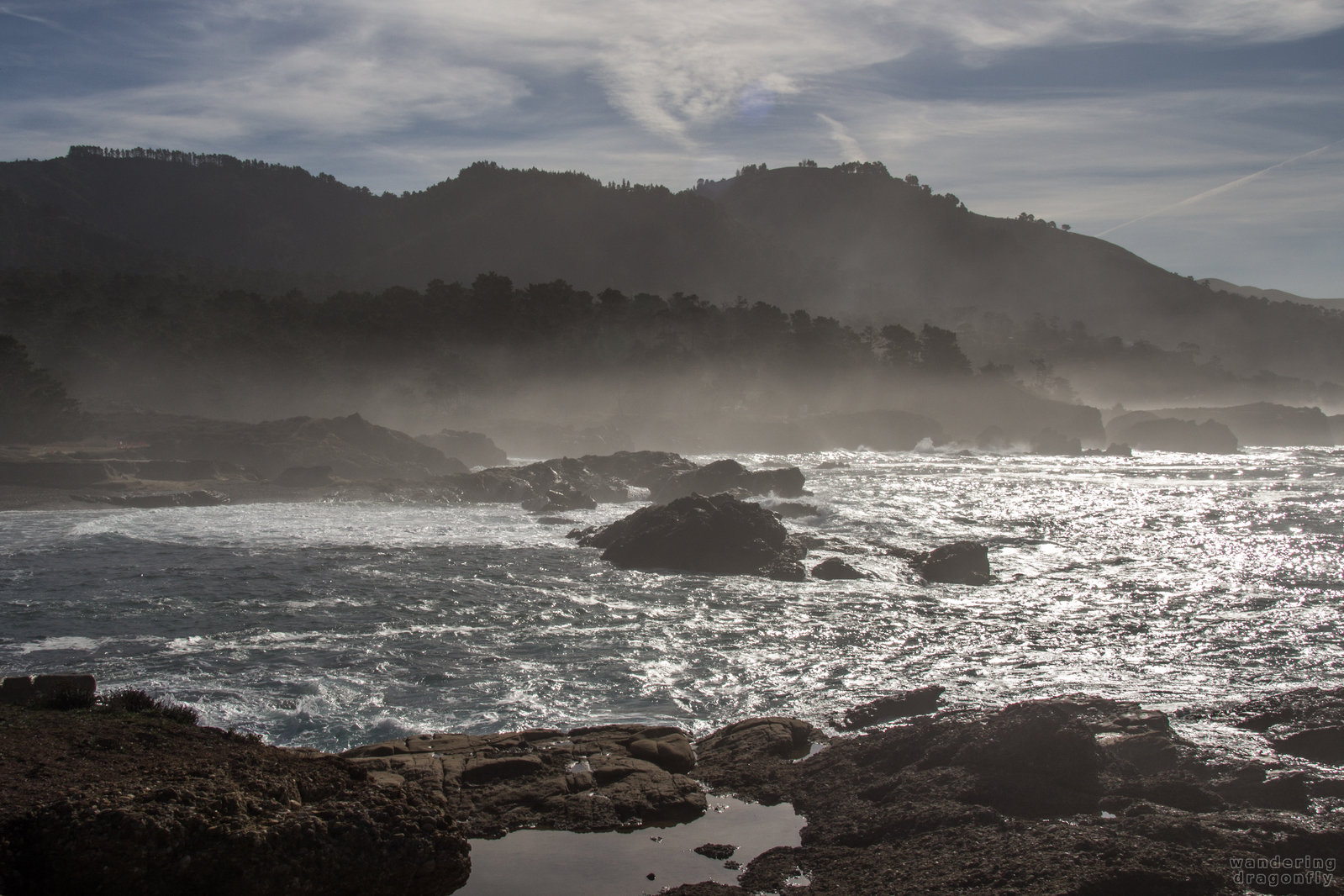 Misty shores -- cliff, cove, fog, forest, ocean, rock, sky, water