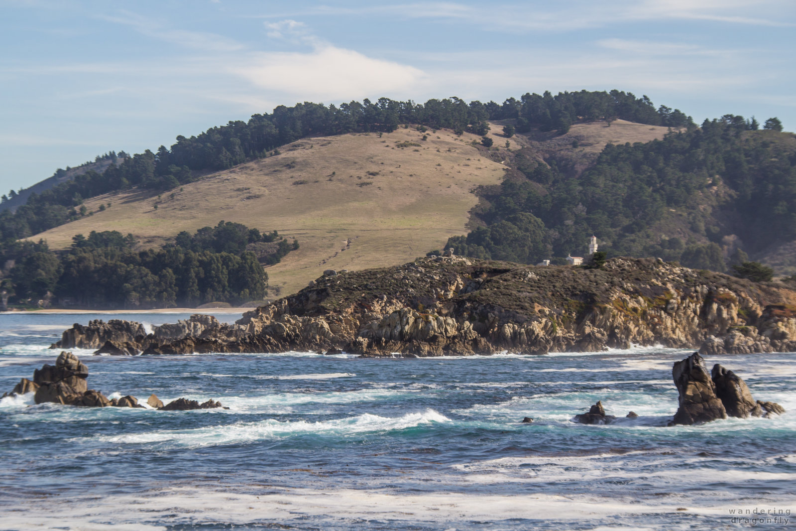 View of Granite Point from the shore of Bluefish Cove -- cliff, forest, hill, ocean, rock, tree, water