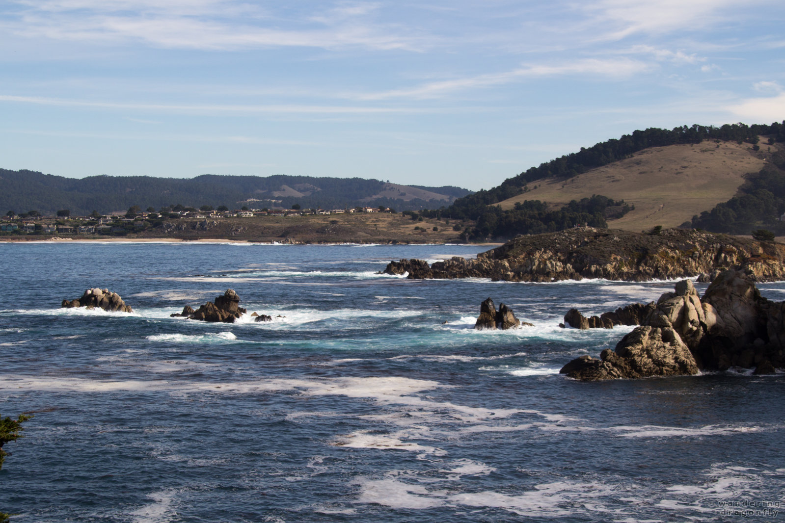 Looking northeast from the shore of Bluefish Cove -- beach, cliff, ocean, rock, shore, water