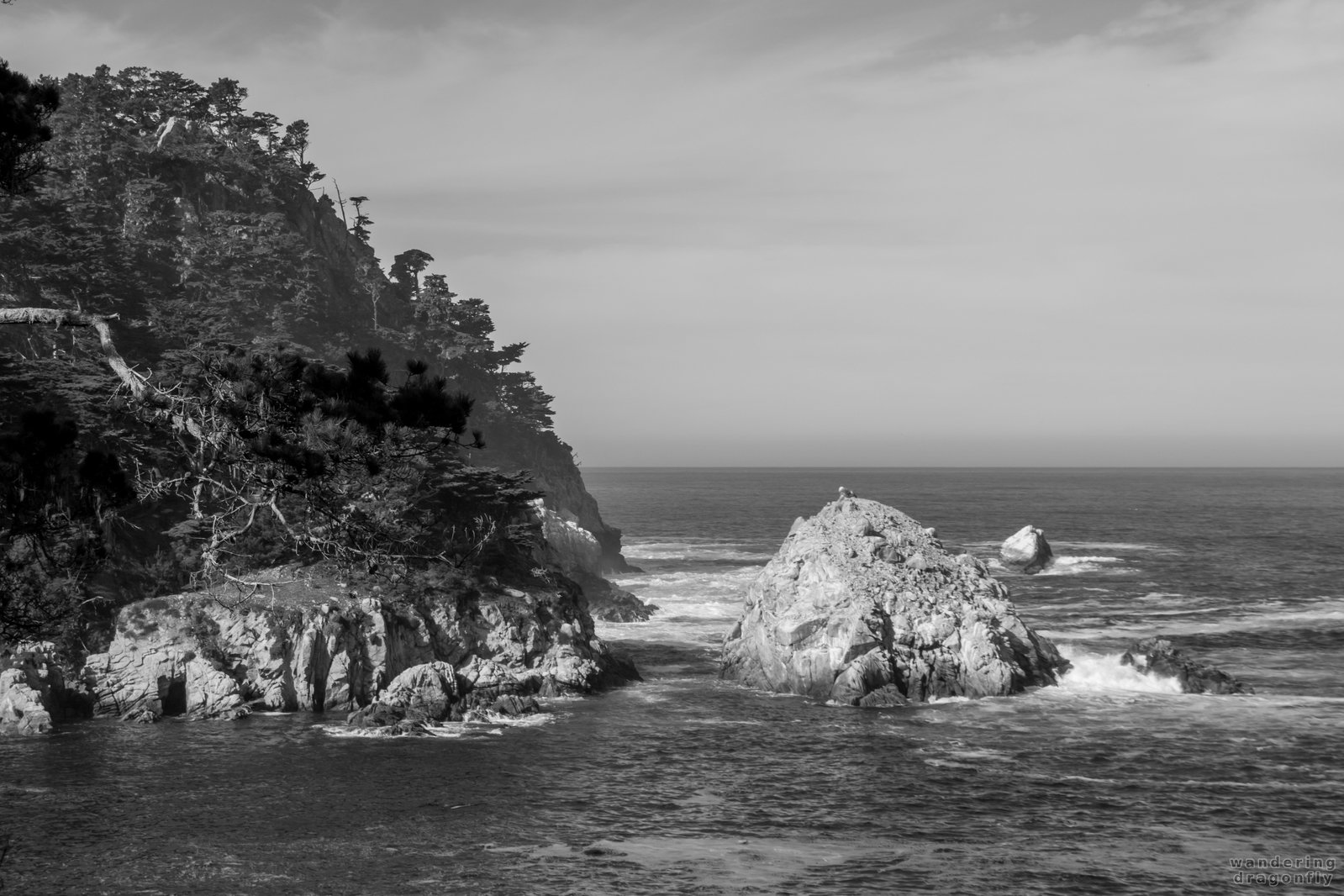 Cliffs around Bluefish Cove -- cliff, ocean, rock, tree, water