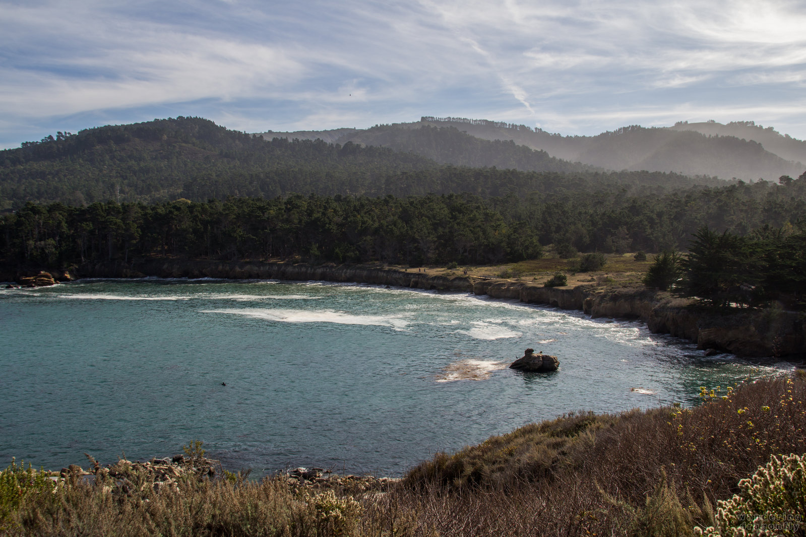 Whalers Cove -- cove, forest, ocean, tree, water