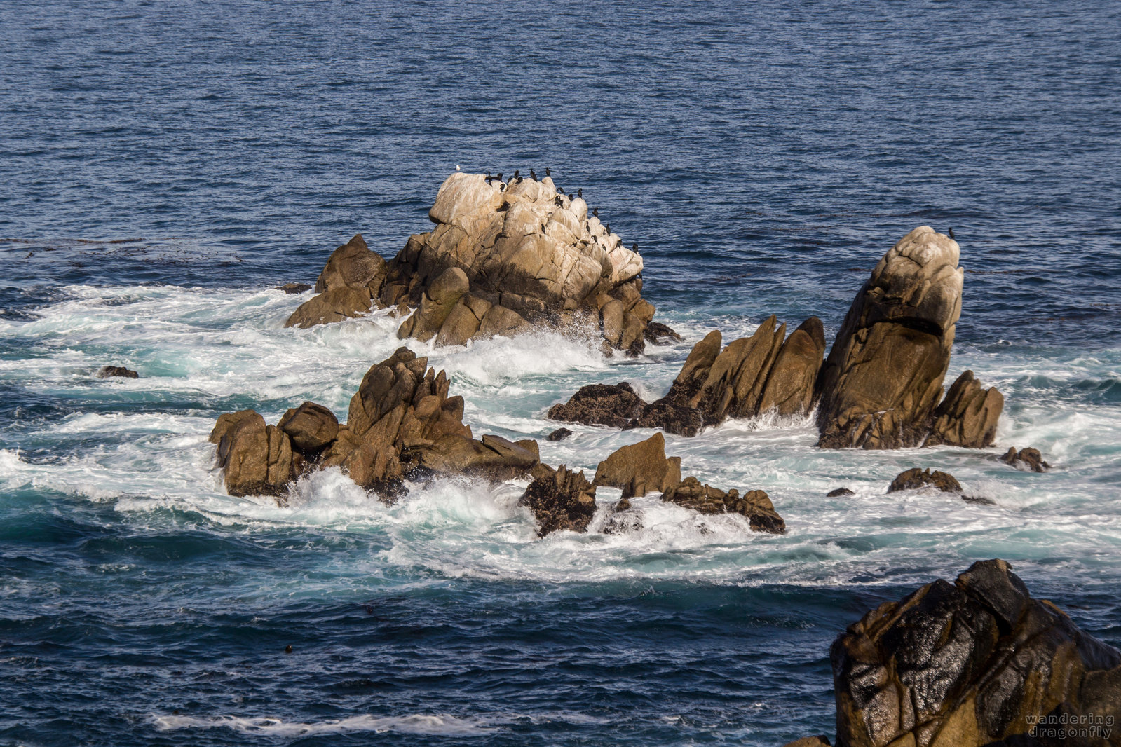 Cliffs with cormorants -- bird, cliff, cormorant, ocean, rock, water