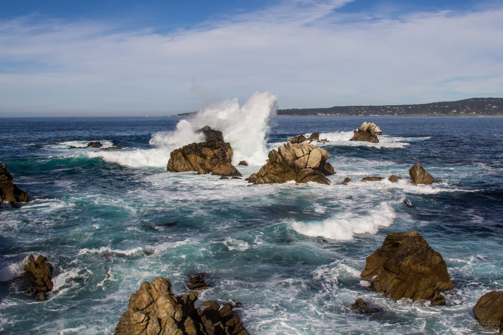 Crashing waves Wandering Dragonfly.